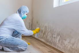 Best Residential Mold Inspection & Testing  in Cleveland, WI