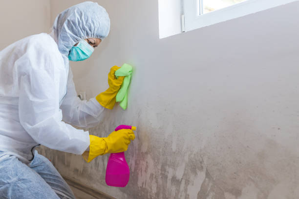 Mold Remediation for Rental Properties in Cleveland, WI